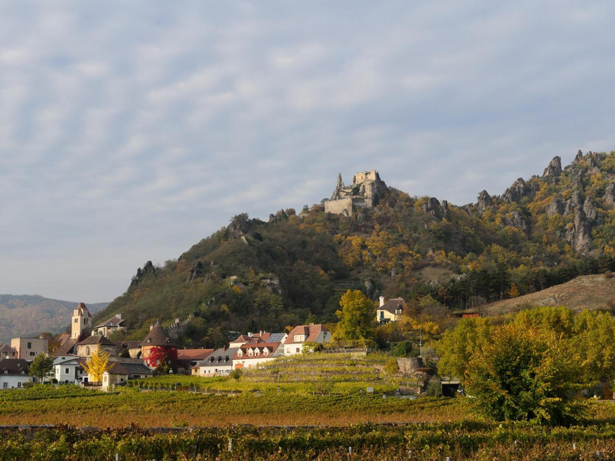 Ferienwohnung Weinbergblick Rohrendorf bei Krems Exterior foto