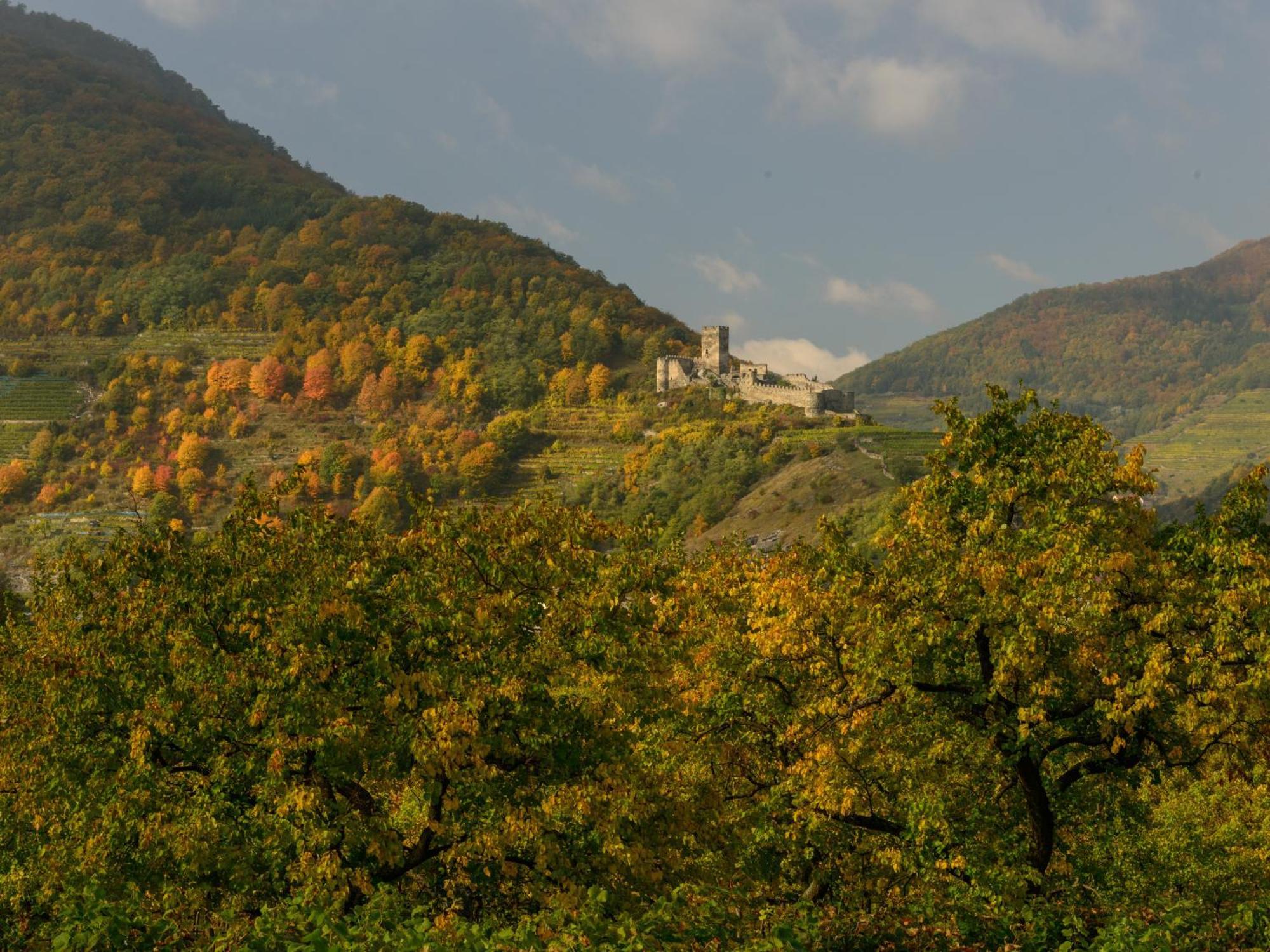 Ferienwohnung Weinbergblick Rohrendorf bei Krems Exterior foto