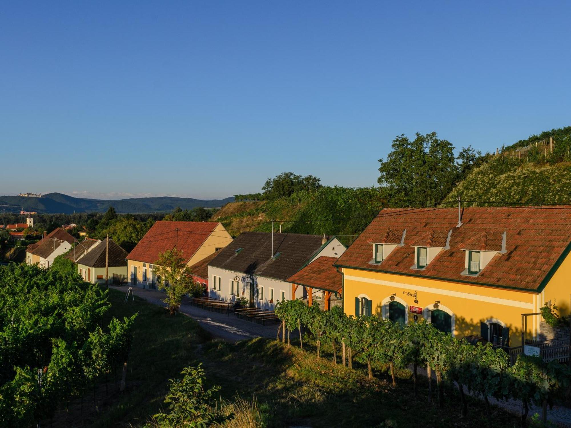 Ferienwohnung Weinbergblick Rohrendorf bei Krems Exterior foto