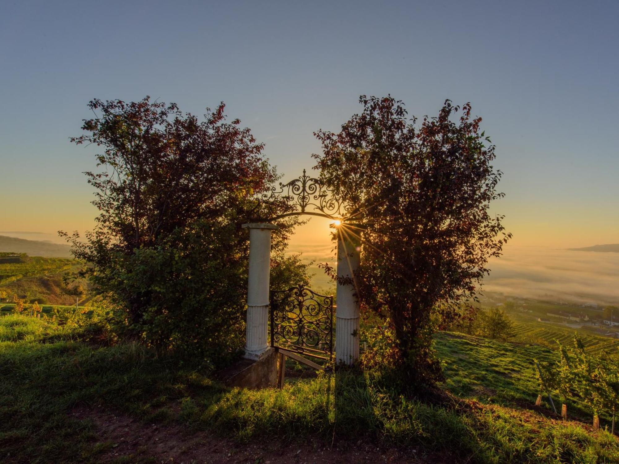 Ferienwohnung Weinbergblick Rohrendorf bei Krems Exterior foto